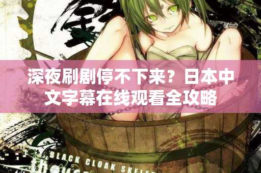 深夜刷剧停不下来？日本中文字幕在线观看全攻略