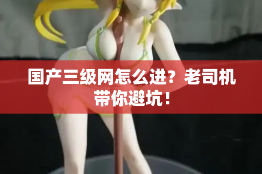 国产三级网怎么进？老司机带你避坑！