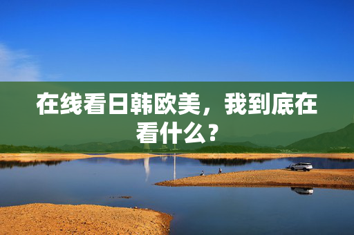 在线看日韩欧美，我到底在看什么？