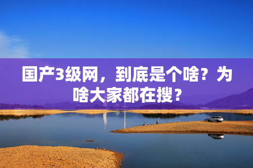 国产3级网，到底是个啥？为啥大家都在搜？