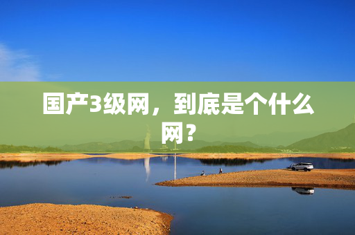 国产3级网，到底是个什么网？  第2张