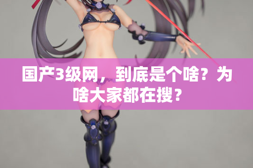 国产3级网，到底是个啥？为啥大家都在搜？