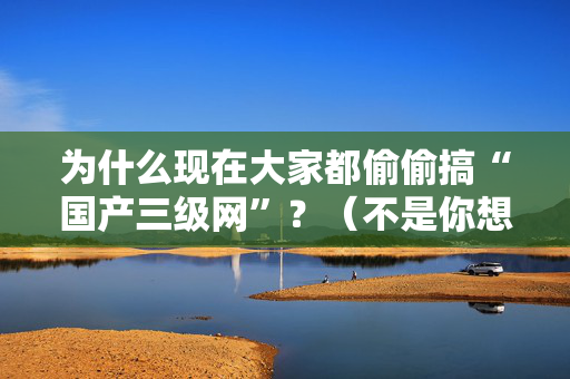 为什么现在大家都偷偷搞“国产三级网”？（不是你想的那样）  第2张