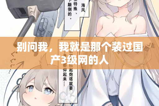 别问我，我就是那个装过国产3级网的人  第2张