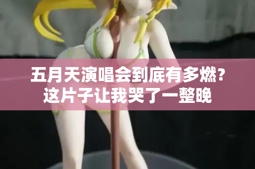 五月天演唱会到底有多燃？这片子让我哭了一整晚