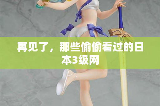 再见了，那些偷偷看过的日本3级网