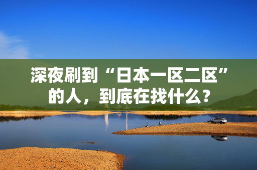 深夜刷到“日本一区二区”的人，到底在找什么？