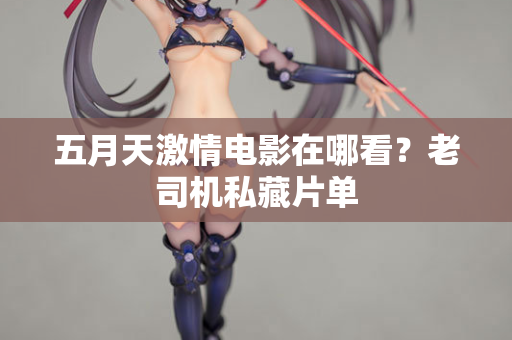 五月天激情电影在哪看？老司机私藏片单  第2张