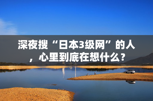 深夜搜“日本3级网”的人，心里到底在想什么？