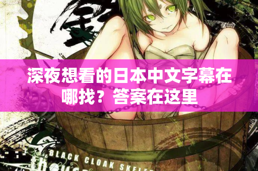 深夜想看的日本中文字幕在哪找？答案在这里  第2张