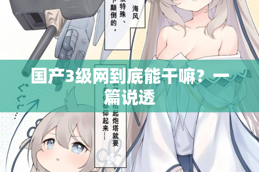 国产3级网到底能干嘛？一篇说透  第2张
