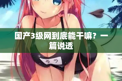 国产3级网到底能干嘛？一篇说透