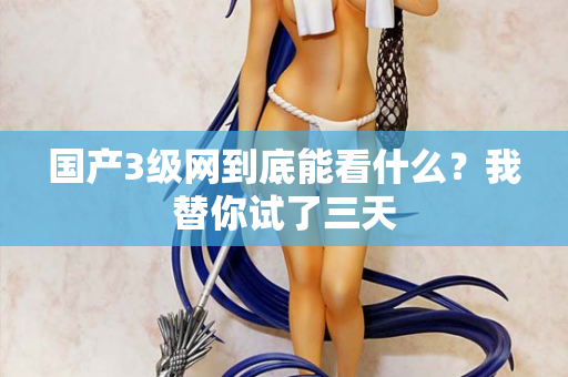 国产3级网到底能看什么？我替你试了三天