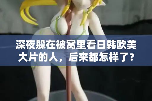 深夜躲在被窝里看日韩欧美大片的人，后来都怎样了？