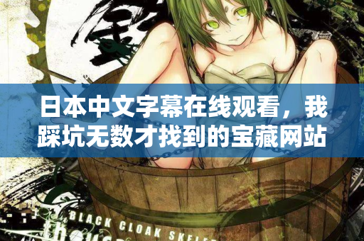 日本中文字幕在线观看，我踩坑无数才找到的宝藏网站