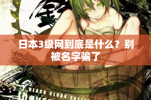 日本3级网到底是什么?别被名字骗了 第1张 日本3级网到底是什么?别被名字骗了 第1张