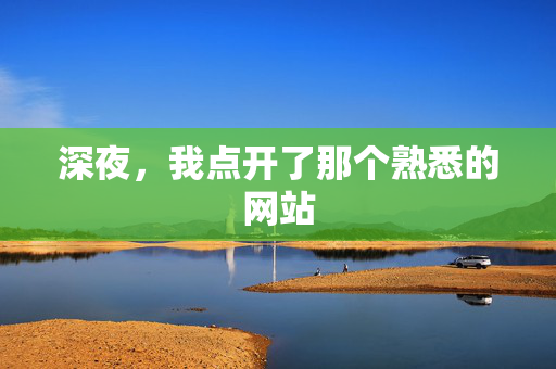 深夜，我点开了那个熟悉的网站