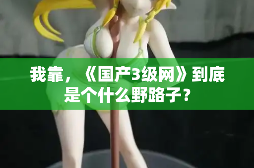 我靠，《国产3级网》到底是个什么野路子？