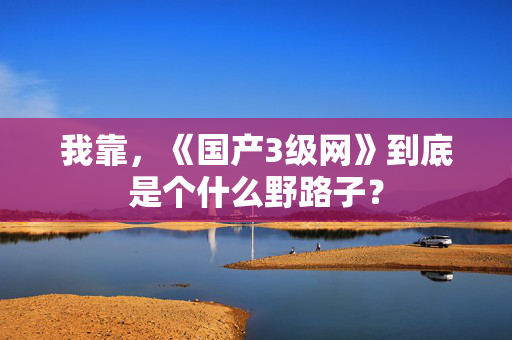 我靠，《国产3级网》到底是个什么野路子？