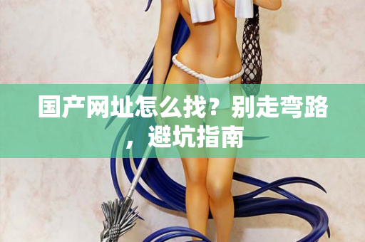 国产网址怎么找？别走弯路，避坑指南  第1张