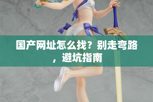 国产网址怎么找？别走弯路，避坑指南  第2张