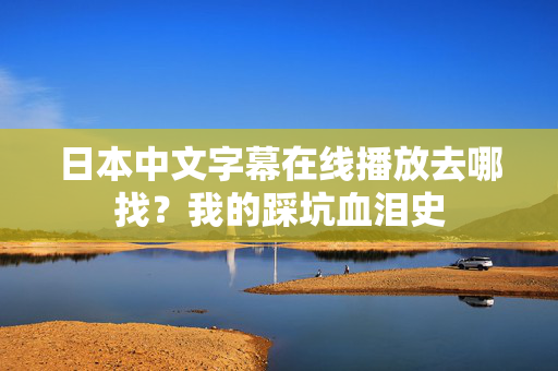 日本中文字幕在线播放去哪找？我的踩坑血泪史