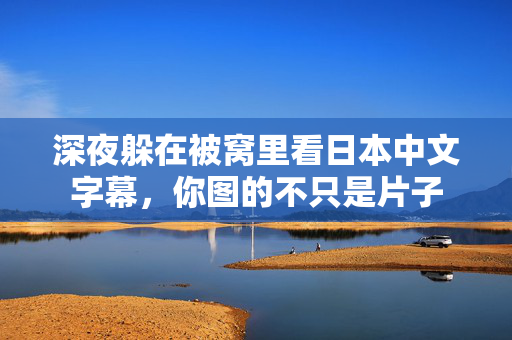 深夜躲在被窝里看日本中文字幕，你图的不只是片子  第1张
