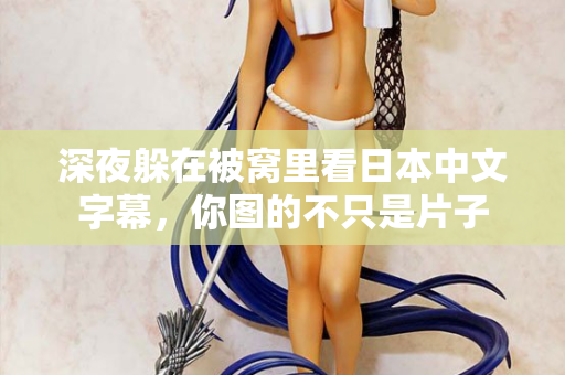 深夜躲在被窝里看日本中文字幕，你图的不只是片子  第3张