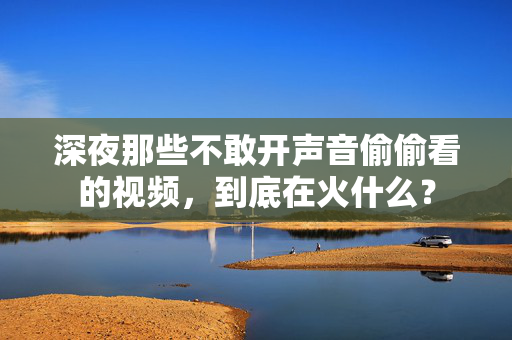 深夜那些不敢开声音偷偷看的视频，到底在火什么？  第1张