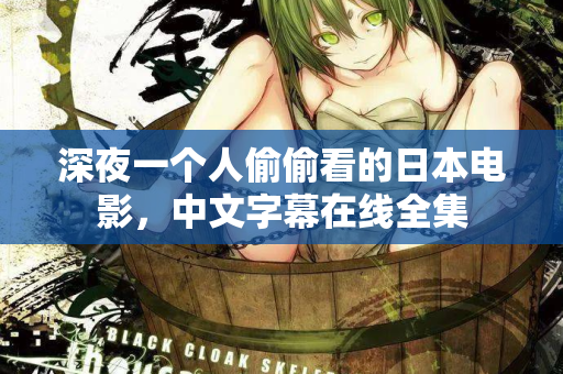 深夜一个人偷偷看的日本电影，中文字幕在线全集  第1张