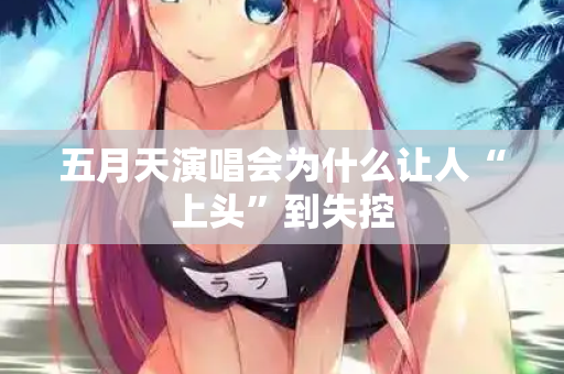 五月天演唱会为什么让人“上头”到失控  第3张
