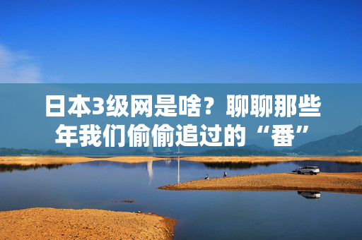 日本3级网是啥？聊聊那些年我们偷偷追过的“番”  第2张
