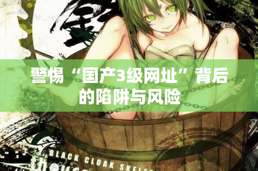 警惕“国产3级网址”背后的陷阱与风险  第1张