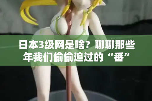 日本3级网是啥？聊聊那些年我们偷偷追过的“番”  第1张