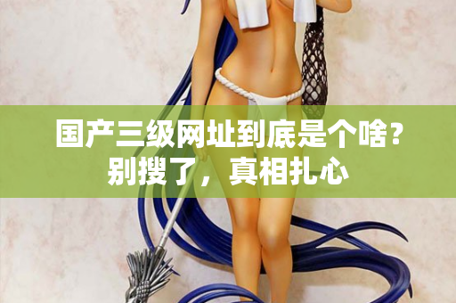国产三级网址到底是个啥？别搜了，真相扎心  第2张