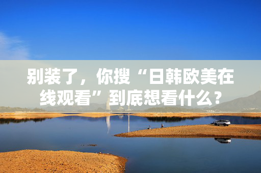 别装了，你搜“日韩欧美在线观看”到底想看什么？