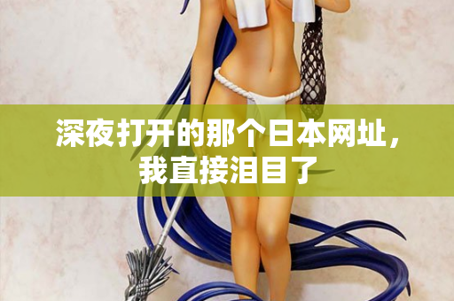 深夜打开的那个日本网址，我直接泪目了  第1张