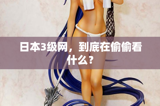 日本3级网,到底在偷偷看什么? 第2张 日本3级网,到底在偷偷看什么? 第2张