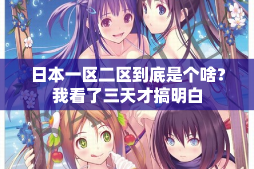 日本一区二区到底是个啥？我看了三天才搞明白  第2张