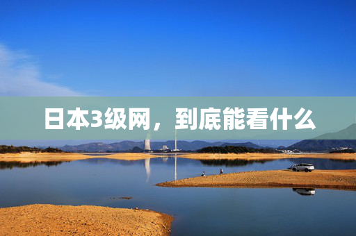 日本3级网，到底能看什么  第2张