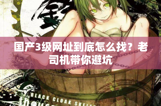 国产3级网址到底怎么找?老司机带你避坑 第1张 国产3级网址到底怎么找?老司机带你避坑 第1张