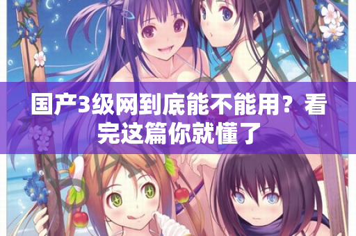 国产3级网到底能不能用？看完这篇你就懂了  第2张