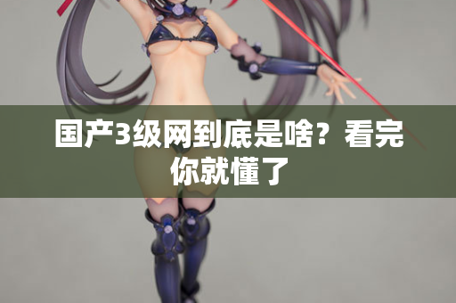 国产3级网到底是啥？看完你就懂了  第1张