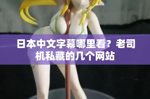日本中文字幕哪里看？老司机私藏的几个网站