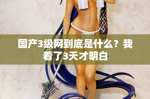 国产3级网到底是什么？我看了3天才明白