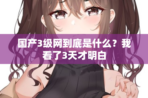国产3级网到底是什么？我看了3天才明白  第2张