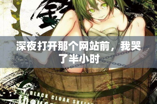 深夜打开那个网站前，我哭了半小时