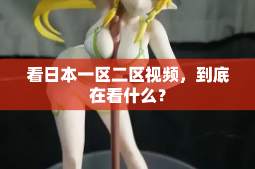 看日本一区二区视频，到底在看什么？  第2张