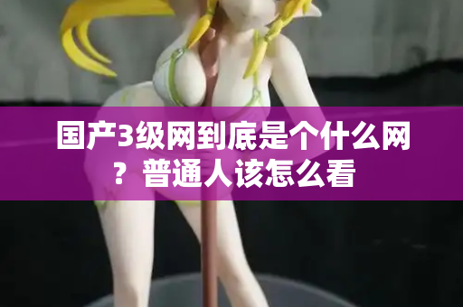 国产3级网到底是个什么网？普通人该怎么看
