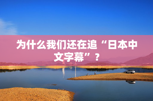 为什么我们还在追“日本中文字幕”？  第2张